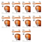 10 Stück Osram 64193-1BL H4 Halogen 12V 60/55W P43t